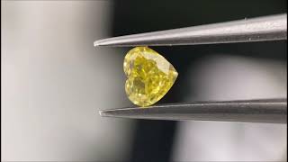 0.52 ct FANCY VIVID YELLOW VS1 EX VG HEART GIA 天然 ダイヤモンド ルース DIAMOND EXCHANGE FEDERATION