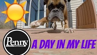 Vlog #4 | Day 15