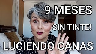 TIPS Y CONSEJOS + MI EXPERIENCIA EN NUEVE MESES DEJANDO CRECER MIS CANAS