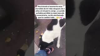 Encontró a su perro después de una llamada 🥹