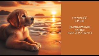 Zachód słońca z psem Golden Retriever 432hz mindfulness chillout uważność relaks