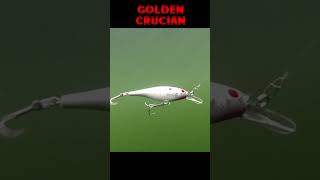 Воблеры погремушки #рыбалка #fishing #pike #shortsfishing