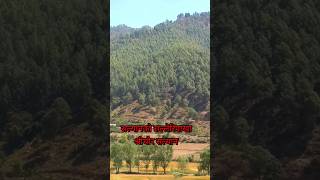 Salleri Pakha Salyan||shreechaur Village Salyan#shorts#youtubeshorts