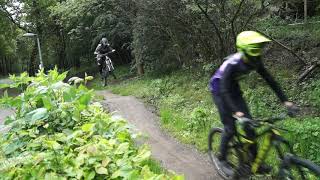 Bikepark Wijchen/2019