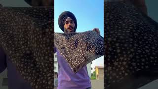 Bandana : Shubh #youtubeshorts #shortvideo #shorts