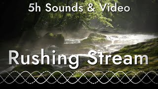 Nature Sounds - White Noise of a Stream Rushing in the Forest (5 hours of relaxing sounds and video)