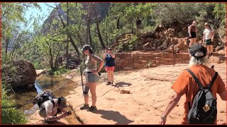 Hiking Zion's Narrows and Emerald Pools Trails For Our 50th Anniversary