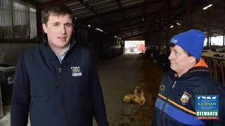 The importance of Nutrition in Dairy Farming