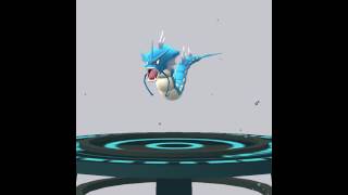 Pokemon GO evolving strongest magi carp into gyarados