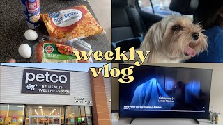 Weekly Vlog: Celebrating our dog's birthday, unboxing baby gifts, and Mother's Day brunch & movie