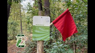 Losloopgebied Ermelosche Zand / Schietberg te Ermelo