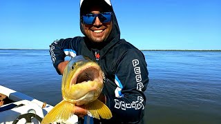 PESCA DE DORADOS Empedado, Corrientes. Segundo día #pesca #cocina