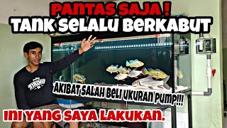 Cara Mengatasi Tank / aquarium yang selalu berkabut || Ternyata ini penyebabnya!!!