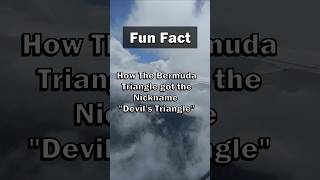 Flight 19: Lost Forever in the Bermuda Triangle? 😨✈️#shorts #ocean #scary