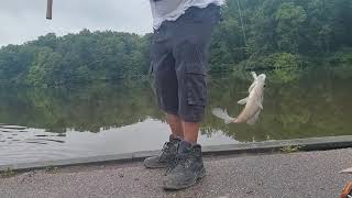 a few fish 🐟 from the weekend (bass,crappie and a channel)