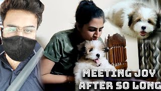 Meeting Joy after so long || The Flying Dog || Lasha Aspho || Vlog #23