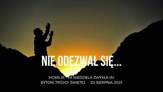 Nie odezwał się... ‐ XX Niedziela Zwykła (A)