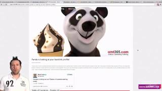 Leacture 62   GOOGLE PANDA UPDATE Section 12   Bonus Tips and Tricks from a Pro