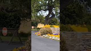 Neverland Ranch spring season