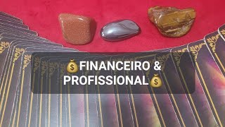 💰FINANCEIRO & PROFISSIONAL💰DETALHADO!!! #tarô #baralhocigano