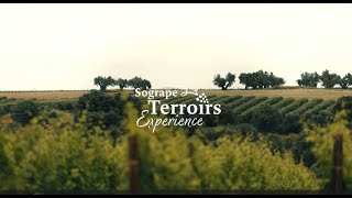 Sogrape Terroirs Experience 2024