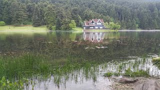 Gölcük Tabiat Parkı Bolu❄ En Güzel Doğa Parkı