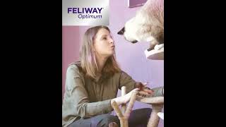 Szczęśliwy kot | Feliway