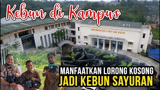 Kebun sayuran di Kampus Megah, Mau Ngapain?