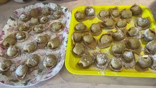 l'impasto di tortelli con farina integrale e la crusca.