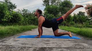 Vyagarasana   Tiger pose