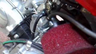 Skyteam Monkey 50cc with mikuni 22