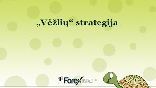 Forex strategija Vėžlių kelias