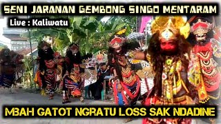 Mbah Gatot Ngratu Sak Ndadine di Jaranan Gembong Singo Mentaram live Kaliwatu Tegaldlimo