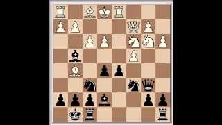 Yasser Seirawan Vs. Nigel Short @ Amsterdam (VSB) (1992)