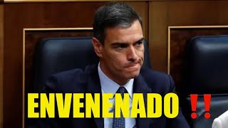 PEDRO SÁNCHEZ, ENVENENADO ‼️‼️