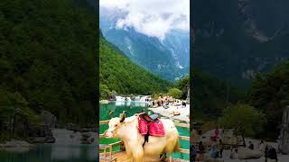 Dali lake #shorts #youtubeshorts #viral #viralvideo