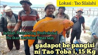 Mancing di Danau Toba dapat ikan mas seberat 15 kg