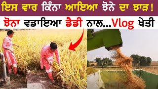 ਝੋਨੇ ਦੀ ਵਡਾਈ 🌾 | vlog 👻 | jhone di vadai | Sumanpreet Kaur