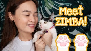 MY ADOPTED PUSPIN! | MEET ZIMBA!