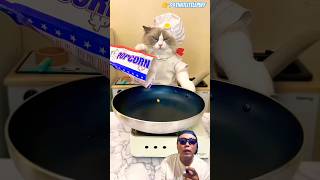 Miauw belajar masak popcorn ⁉️ #cat #whatshouldpuffdo #catlover #chefpuff #cooking #puffpuff