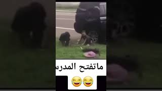 اول ماتفتح المدارس