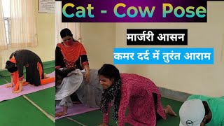 मार्जरी योगासन से मिलेगा कमर दर्द में तुरंत आराम | Cat - Cow Stretch Pose | @yogaanytime_with_NK