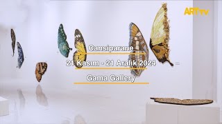 Gama Gallery | Cansiparane