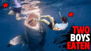 Two Boys Were RIPPED APART By a Great White Shark | Untamed Stories