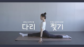 다리찢기 성공하고 싶으신 분들 보세요! 효과만점 다리찢리 루틴 _ 간단한 스트레칭/다리찢기 잘하는 법/ 골반교정/ 하체부종 해소/ 요가 ASMR