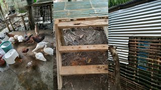 DAY 3 UPDATE SA KULUNGAN NG KAMBING AT MANOK AT NAGPAKAIN NG MGA ALAGA