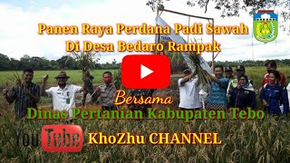 Panen Raya padi di Desa Bedaro Rampak