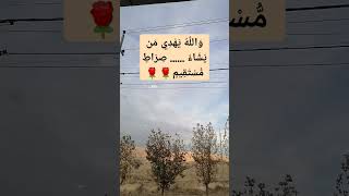 ٨ ديسمبر، ٢٠٢٤