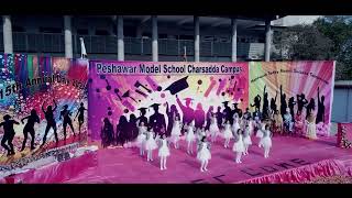 Peshawar model school annual day 2024