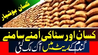 Wheat rate today| Gandam rate today 2023,    گندم کے ریٹ میں بڑا نمایاں اضافہ